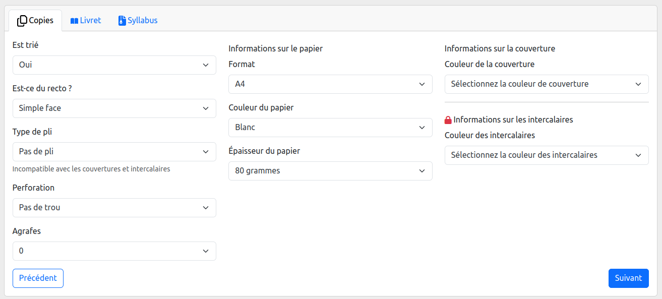 Présentation des options des copies disponibles. Format, papier, grammage, intercalaire (couleur, grammage), agrafage, courrier, tri, disposition, perforation, page de garde (emplacement, disposition, ...)